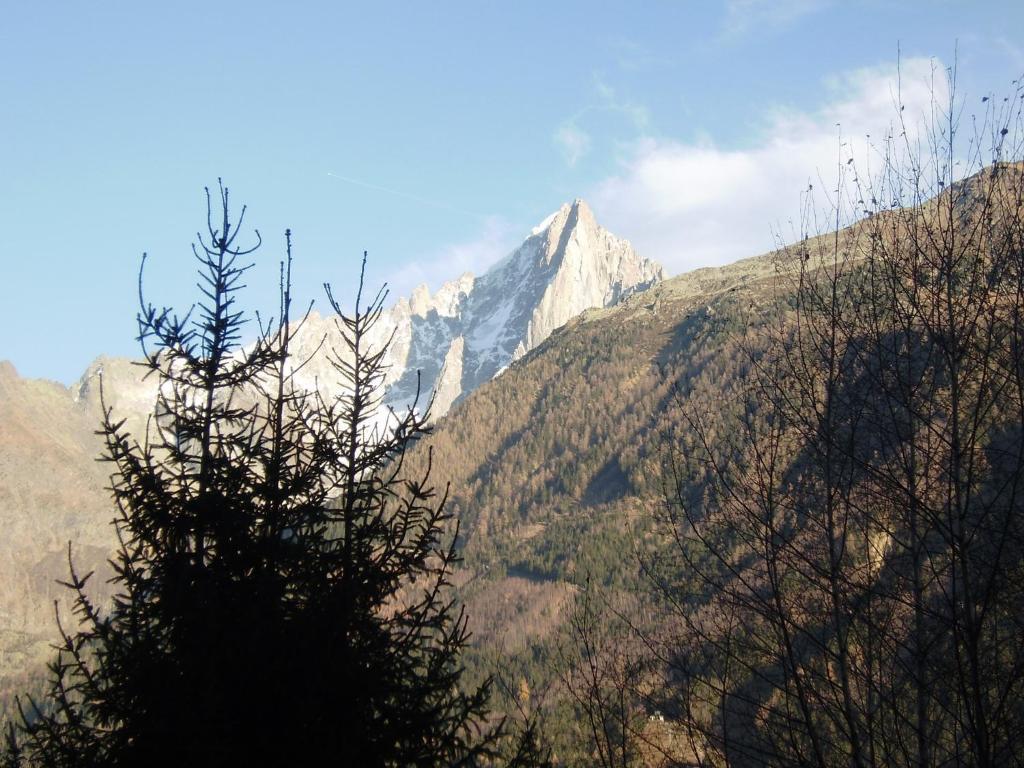 Studio Les Drus / Studio Du Brevent Chamonix Room photo